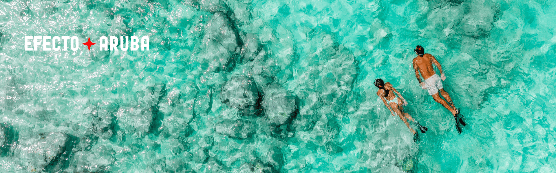 ARUBA DICIEMBRE 2025